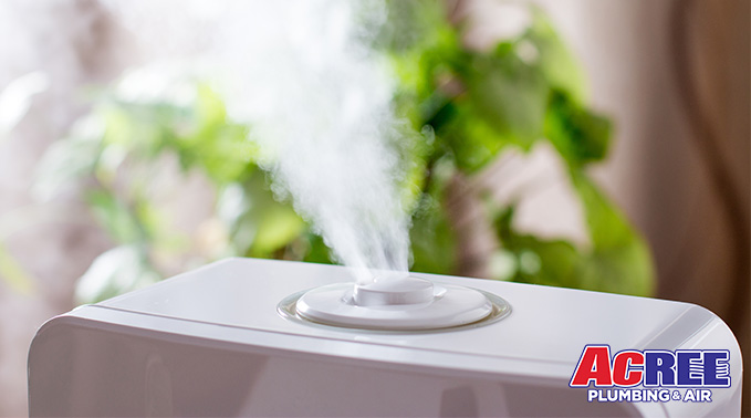 6 Easy Ways to Alleviate Dry Air